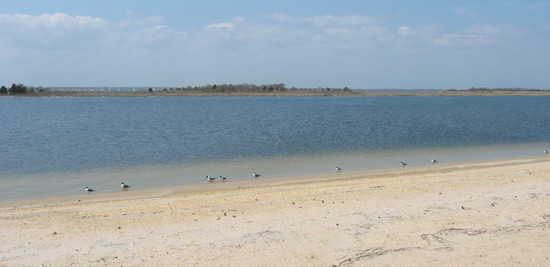 Barnegat Bay from the Seaside Heights shoreline